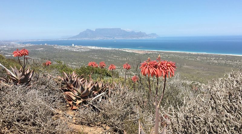 Blaauwberg Nature Reserve was Awarded a Prestigious Green Coast status